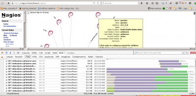 Firebug Network Tab Detail