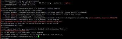 nagios_error_1.JPG