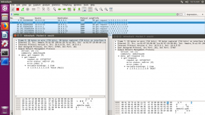 wireshark-capture.png