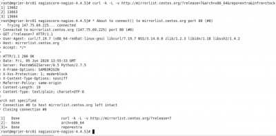 curl output