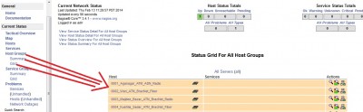 hostgroup-summary-grid.jpg